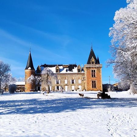 Chateau De La Forie Saint-Etienne-sur-Usson Buitenkant foto