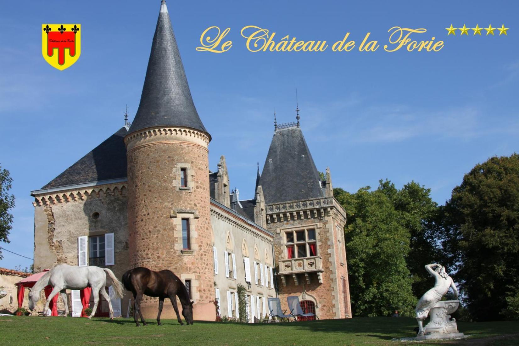Chateau De La Forie Saint-Etienne-sur-Usson Buitenkant foto