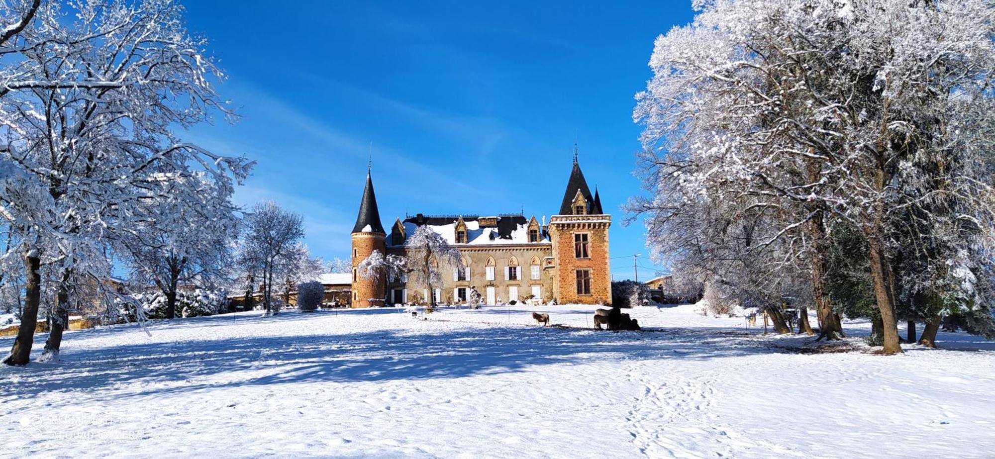 Chateau De La Forie Saint-Etienne-sur-Usson Buitenkant foto